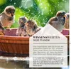 WILDLIFE HOME Vogeltränke stehend auf Stab 'Regenschirm' I Produktbild-Vorschau 6