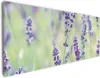 Wallario Premium Leinwandbild Lila Blumenfreude - Violette Produktbild-Vorschau 1