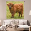 MuchoWow® Wandteppich Wandbehang Schottisches Hochlandrind Produktbild-Vorschau 5