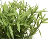 Plante artificielle dans pot tressé 13cm, 1 pièce assortie Voir les images du produit 2