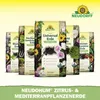 Neudorff NeudoHum Zitrus- & MediterranpflanzenErde 20L Produktbild-Vorschau 5