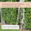 Dekoleiter Holzleiter stehend 150 cm im Old Look Produktbild-Vorschau 4
