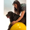 Gymnic Fitnessball "Gymnic Physio-Roll", Lxø: 90x55 cm, Produktbild-Vorschau 11