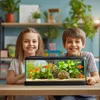 Kruger Meier Rostlina trávníku - umělá rostlina Náhled obrázku produktu 3