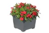 3er Set Pflanzkasteneinsatz 32x32x26 cm Pflanzkübel aus Produktbild-Vorschau 3