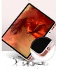 Tech-Protect Sc Pen Ipad Air 10.9 4 / 5 / 2020-2022 / 11 6 Náhľad obrázku produktu 9