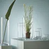 A collection of clear glass vases of various sizes, some containing plants, arranged on a light blue surface against a light blue background. Produktbild-Vorschau