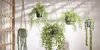 Mica Decorations Ficus hängende Kunstpflanze im Topf - H46 Produktbild-Vorschau 2