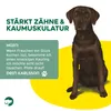 TOPDOG Chicken-Donut - Dental Care - mit Huhn - Kausnack - Produktbild-Vorschau 4