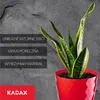 Plastový květináč KADAX "Amily", květináč s podšálkem. Náhled obrázku produktu 4