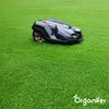 Eisensulfatdünger - Moosentferner - 5kg - für 250m2- Produktbild-Vorschau 11