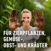 COMPO BIO Universal-Erde torffrei 7,5 l 4008398112240 214023 11224 blumenerde pflanzerde Produktbild-Vorschau