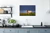 MuchoWow® Poster Pferde - Gras - Fohlen 90x60 cm - Produktbild-Vorschau 3