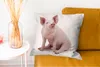 MuchoWow® Zierkissen Sofakissen Wohnzimmer Dekokissen 45x45 Produktbild-Vorschau 6