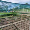 Omgoods - Hail Net voor Gewasbescherming 2 x 10 m Groen Productafbeelding-voorbeeld 5