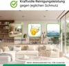 BiOHY Teppichreiniger für Waschsauger + Dosierer, Produktbild-Vorschau 3