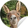 MuchoWow® Produktbild-Vorschau 1