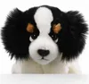 Carl Dick Cavalier King Charles Spaniel seduto circa 22 cm Anteprima dell’immagine prodotto 4