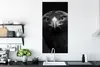 MuchoWow® Poster Bussard - Vogel - Tiere - Schwarz - Weiß Produktbild-Vorschau 3