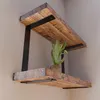 Two wooden shelves mounted on a wall with black brackets, one shelf has a small potted plant. Produktbild-Vorschau