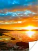MuchoWow® Poster Sonne - Landschaft - Wasser - Bäume Produktbild-Vorschau 1