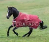 A black horse wearing a red blanket is running in a grassy field. Produktbild-Vorschau