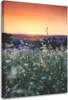 Leinwandbild wiese und sonnenuntergang 80x120 cm Feeby Produktbild-Vorschau 1