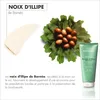 Masque au Beurre d'Illipe - Soin Cheveux Secs 200ml - Haute Voir les images du produit 5