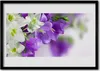 Bild 100x70 MDF-Rahmen Wandkunst Blumen Pflanzen Natur Produktbild-Vorschau 1
