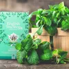 English Tea Shop Thé Menthe, 20 sachets Voir les images du produit 2
