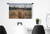 MuchoWow® Wandteppich Wandbehang Rotwild - Natur - Wiese Produktbild-Vorschau 5