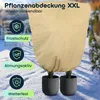 Pflanzenabdeckung XXL, Winterschutz, 240 x 200 cm, Produktbild-Vorschau 3