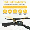E-Bike Cityrad E3-SE E-Fahrrad 648WH Pedelec, 36V 18 AH 120 Produktbild-Vorschau 13