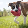 Kong Fliegendes Frisbee-spielzeug Rot S Rot S Produktbild-Vorschau 7