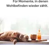 Kit de tratamiento inmunológico "Recoactiv" para gatos, 3 Vista previa de la imagen del producto 6