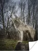 MuchoWow® Poster Wolf - Grau - Wald 30x40 cm - Wandplakat - Produktbild-Vorschau 1