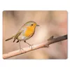 MuchoWow® Mauspad Mousepad Vogel - Zweig - Rotkehlchen Produktbild-Vorschau 1