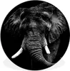 MuchoWow® Rundes Wandbild - Runde Bilder Elefant - Tiere - Produktbild-Vorschau 1