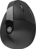 JLab JBUDS ERGONOMIC, Po prawej stronie, Projekt pionowy, Podgląd zdjęcia produktu 4