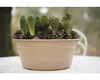elho green basics Schale 27cm - mild tonrot Produktbild-Vorschau 5