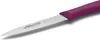 ARCOS Nova, Peeling knife, 10 cm, Nerezová ocel, 1 kusů Náhled obrázku produktu 2