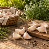 Elefantenknoblauch - 250g Knoblauchzehen - Pflanzknoblauch Produktbild-Vorschau 2