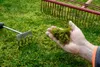 A hand holding moss on a lawn with rakes in the background. Produktbild-Vorschau