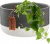 A close-up shot of a gray and white ceramic plant pot with a green plant spilling out. Podgląd zdjęcia produktu