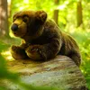 Peluche Ours 42 Cm Ecologique Voir les images du produit 3