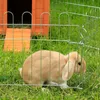 A rabbit in a pen with a wooden hutch in the background. Produktbild-Vorschau
