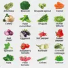 Green Harvest Groentezaden Set 20 soorten, 20 zakjes, zaden Productafbeelding-voorbeeld 2