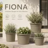Pflanztopf Fiona Taupe Ø 30cm - Frostsicher & UV-Beständig Produktbild-Vorschau 7