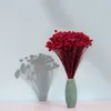Hill Blume - Rot Produktbild-Vorschau 6