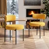 Hawthyhome  Chaises de salle à manger (2 pièces) Teddy Voir les images du produit 3